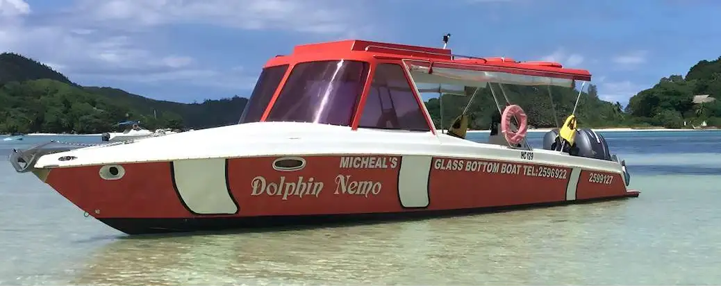 Dolphin Nemo