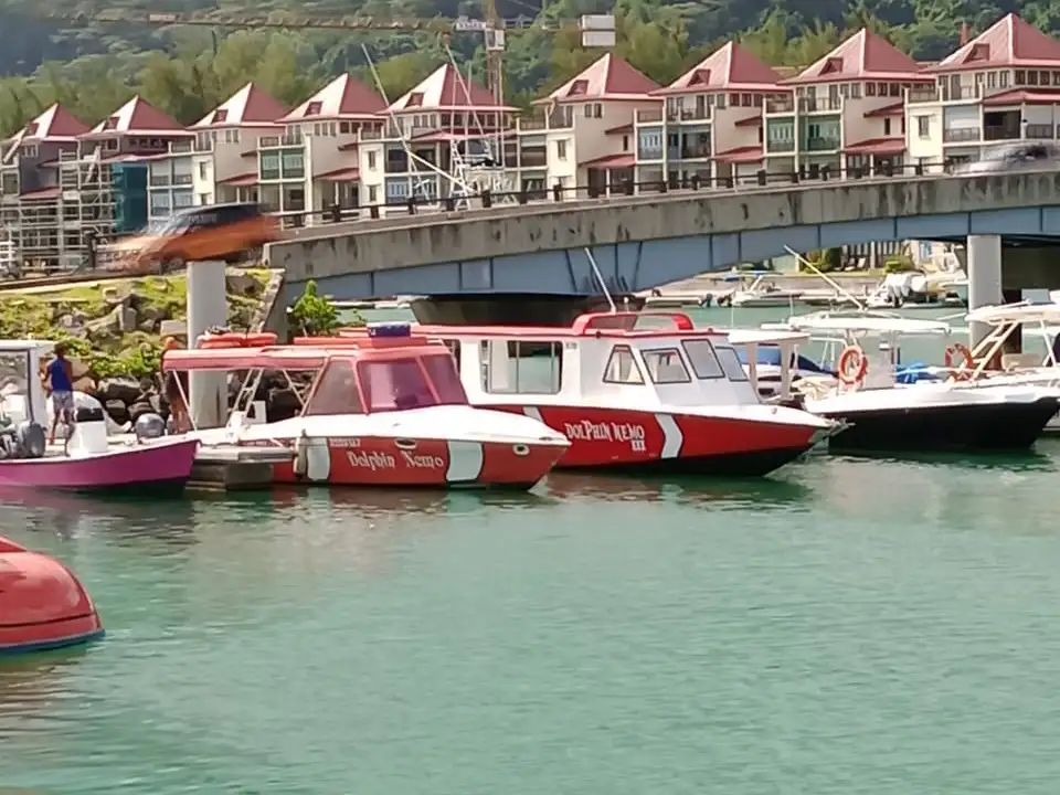The original red-and-white Dolphin Nemo boats together in a Mahé marina
